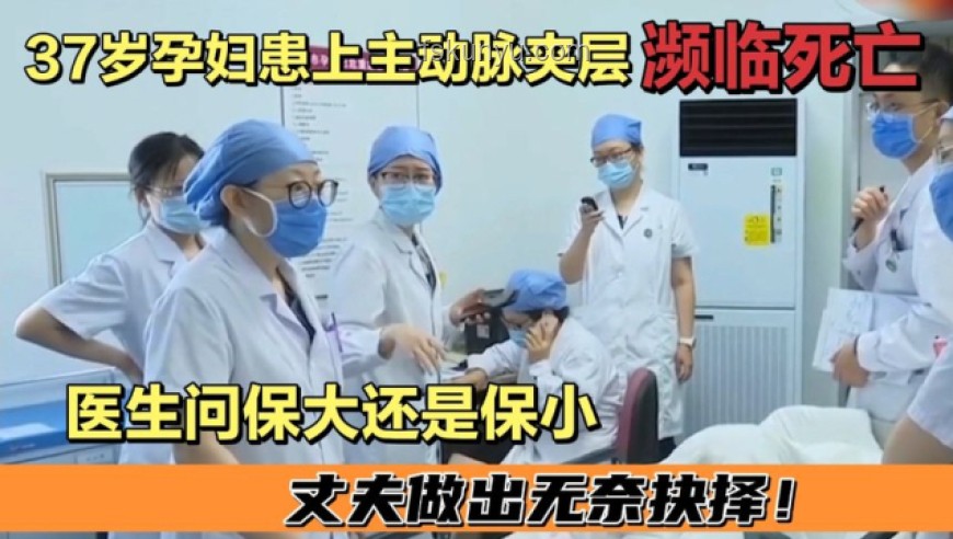 坠亡实习医生事件与举报材料涉多名医生对比分析